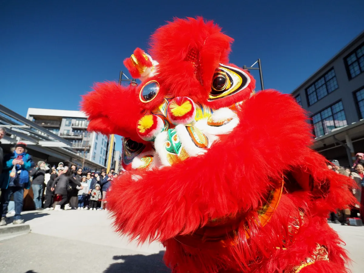 Lunar New Year photograph 17